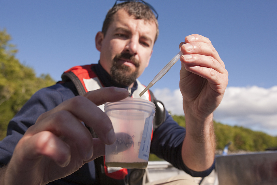 Scientist collecting samples of algae on a sampling surface in a boat