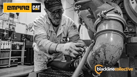 Empire Cat-Blackline Imagen colectiva