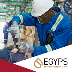 EGYPS Thumbnail Image