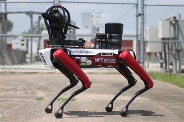 Spot boston dynamics with blackline gas detection