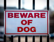 cartello "attenti al cane
