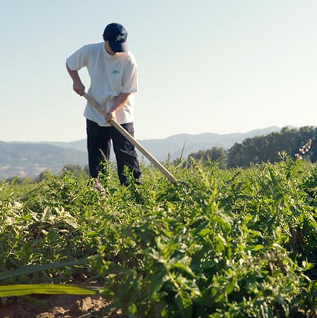 Aboca Lone Worker Farmer Safety (sécurité des travailleurs isolés)