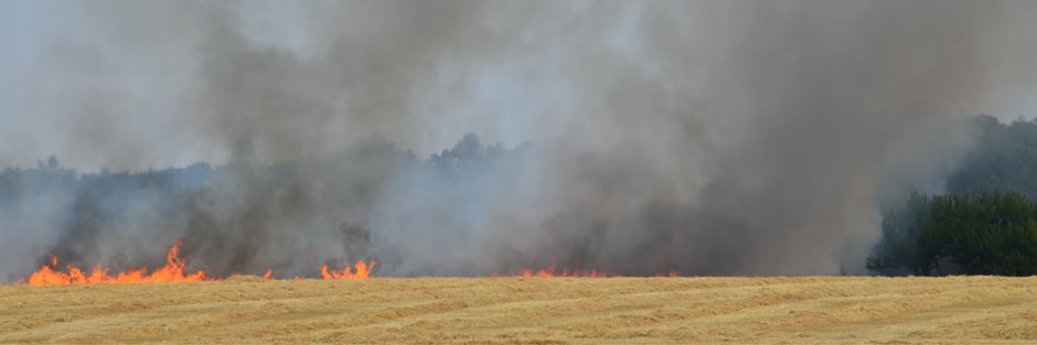 Lone worker helps to prevent a brush fire from spreading using his G7 device.