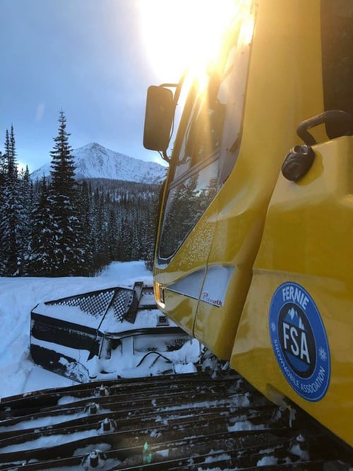fernie-lone-worker-sunset-cat