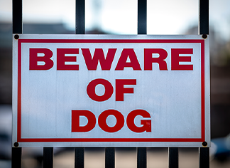 beware-of-dog-324x236