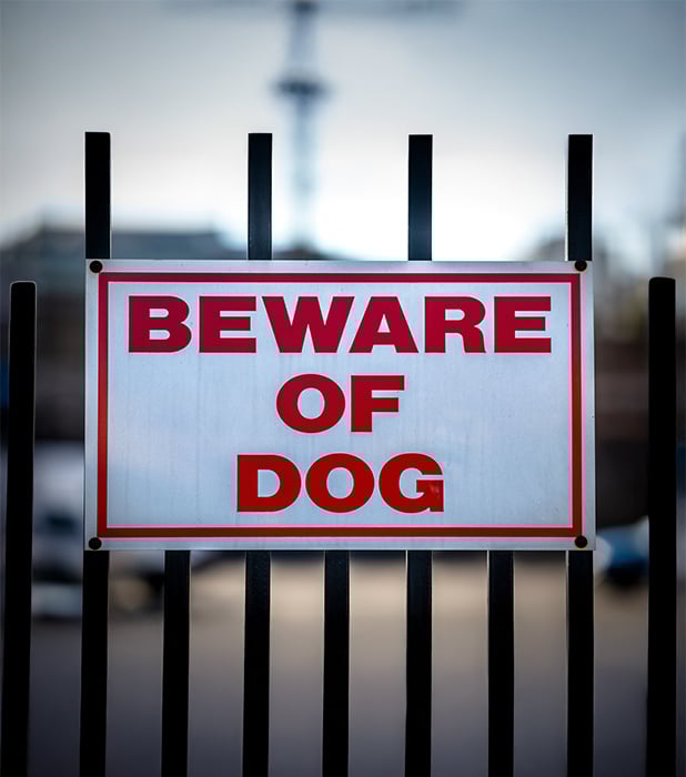 Sasha needed help while working alone and being threatened by a customer and his large dog. Read her story.