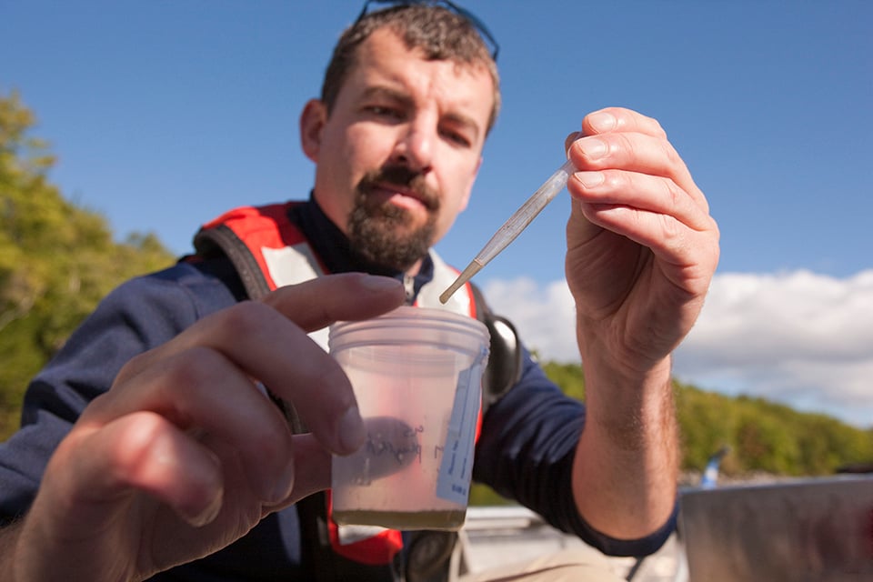 Wissenschaftler, der in einem Boot Proben von Algen auf einer Probenahmefläche sammelt