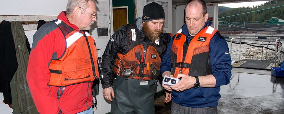 Blackline Safety treina o pessoal da Cermaq no local para usar o dispositivo Loner Bridge
