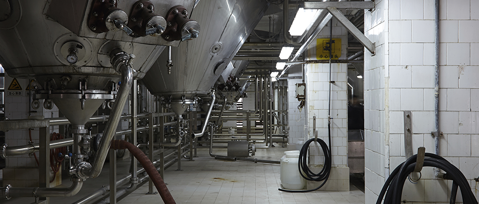 Immagini del blog - Cibo e bevande2