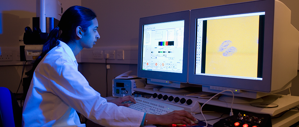 Immagini del blog -- labs3