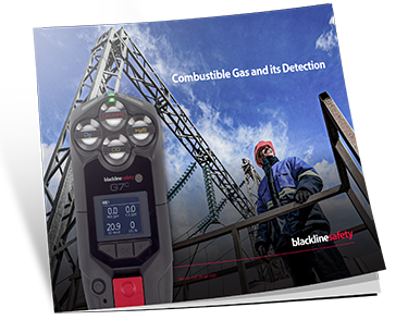 miniatura del white paper