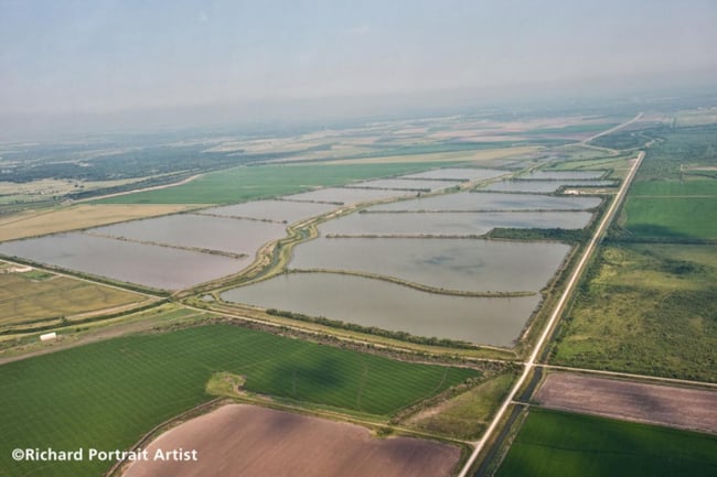 GCWA protects their remote water workers using Blackline Safety devices.